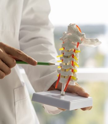 front view doctor explaining anatomy scaled